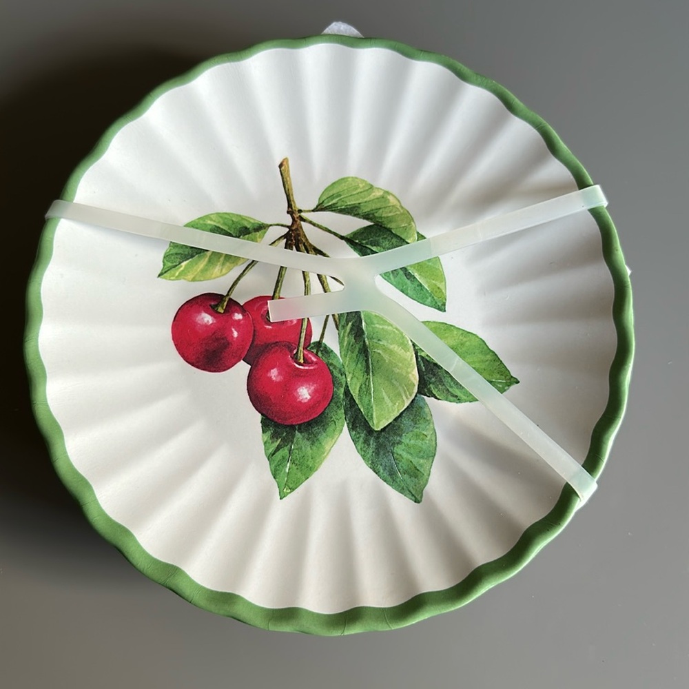 Rachel Ashwell set of 4 salad plates melamine